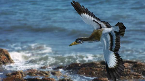 温州配资公司 中国小恐龙，大战侵权者