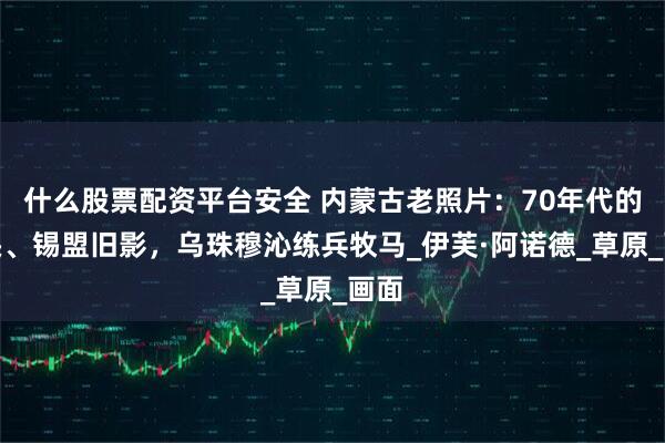 什么股票配资平台安全 内蒙古老照片:70年代的包头、锡盟旧影,乌珠穆沁练兵牧马_伊芙·阿诺德_草原_画面