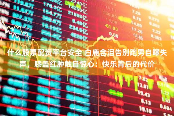 什么股票配资平台安全 白鹿含泪告别跑男自曝失声，膝盖红肿触目惊心：快乐背后的代价