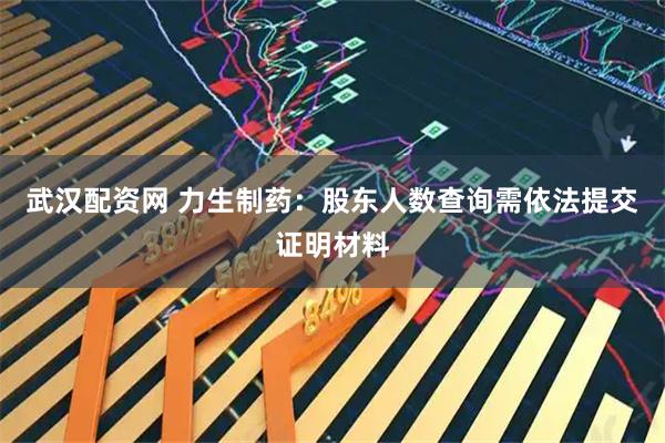 武汉配资网 力生制药:股东人数查询需依法提交证明材料